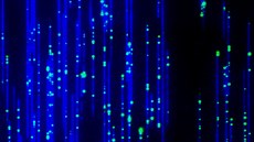 Ukázka optického mapování genomu penice. Modrá vlákna pedstavují dlouhé úseky...