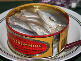 Slane�ek Surströmming, který pro�el fermentací, je proslulý p�edev�ím svou...