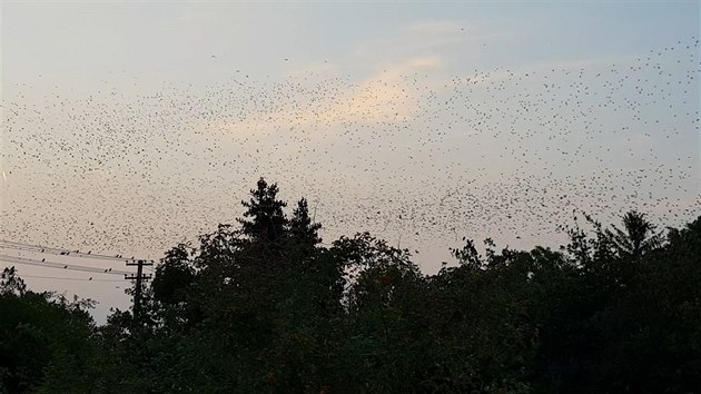 Podveern obrzek z Maleic