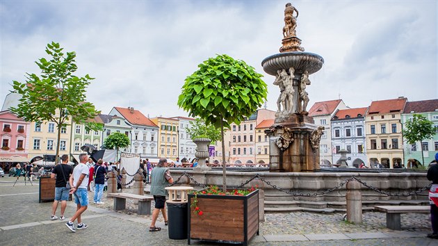 Českobudějovickou Samsonovu kašnu na náměstí Přemysla Otakara II. v roce 2018 na dva dny obklopily stromy. Místní obyvatele zeleň na náměstí zaujala.