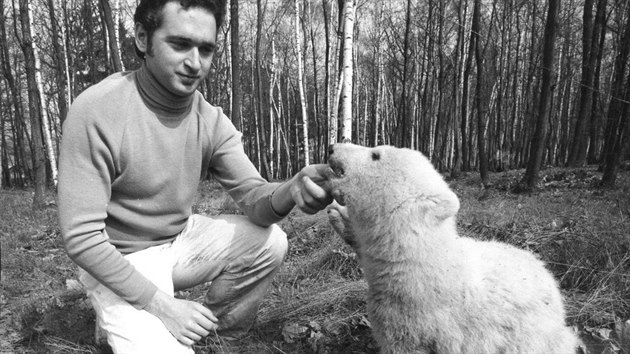 Manelm Tilovm se v roce 1976 podailo odchovat prvn mld lednho medvda v historii brnnsk zoologick zahrady. Lenka Tilov v zoo pracovala jako chovatelka, jej mu Karel jako veterinrn lka.