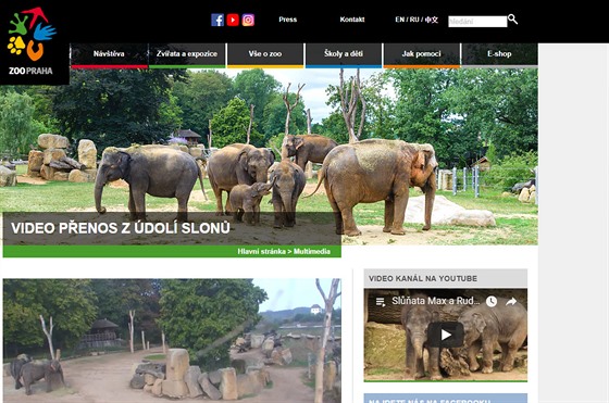 Zoo sloni