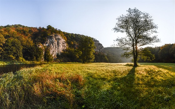 Ráno u Dyje na rakouské stran