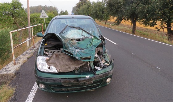Pi dopravní nehod na Tachovsku se zranil nejen idi osobního vozidla, ale i...