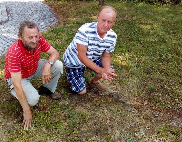 Zdenk Hlava (vlevo) a Miroslav Balatka kleí u paezu, který zstal po smrku...
