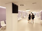 V olomoucké fakultní nemocnici byla slavnostn otevena nová budova II. interní...