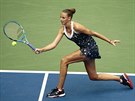 FORHEND. eská tenistka Karolína Plíková trefuje míek v osmifinále US Open,...