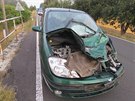 Při dopravní nehodě na Tachovsku se zranil nejen řidič osobního vozidla, ale i...