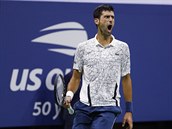 Novak Djokovi slav vtzn m v semifinle US Open.