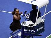 Amerianka Serena Williamsov se hd s rozhodm Carlosem Ramosem bhem finle...
