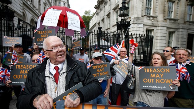 Demonstrace stoupenc brexitu v centru Londna (5. z 2018)