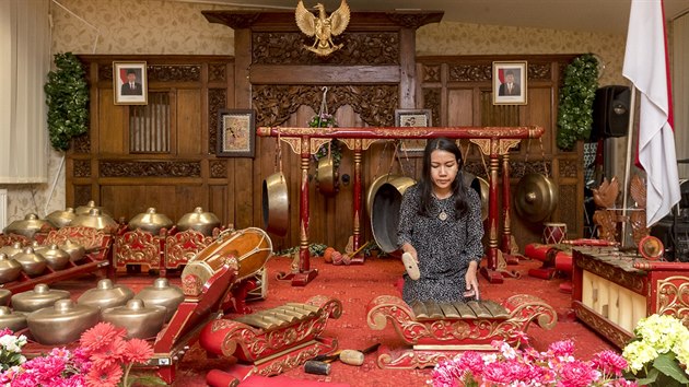 Na mnoho tradičních nástrojů z Indonésie lze narazit v sále vedle ambasády. Občas je problém, aby mohly hrát všechny najednou. Každý zní jinak a některé k sobě zvukově neladí. (13.7.2018)