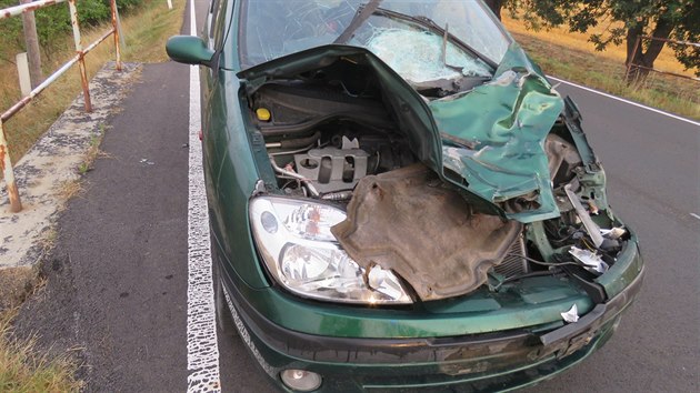 Pi dopravn nehod na Tachovsku se zranil nejen idi osobnho vozidla, ale i bci. Jedno zve kolizi nepeilo.