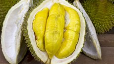 Durian má velikost fotbalového míe.