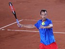 Luká Rosol bhem baráe Davis Cupu v Maarsku