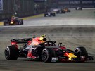 Pilot stáje Red Bull Max Verstappen bhem Velké ceny Singapuru