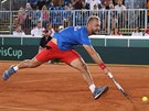 eský tenista Roman Jebavý (v popedí) dobíhá k míi ve tyhe v baráovém...