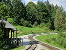 Úvra� lesní �eleznice v sedle Demänová. Tady je rozmezí Kysuc a Oravy.