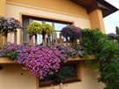 Rozkvetlé truhlíky má v lét paní domu nejen na oknech, lemují i balkon. 