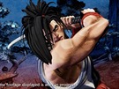 Samurai Shodown