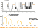 Pomalé vlny (SWA - slow wave activity, na EEG s frekvencí 0,5 a 4 Hz) jsou...