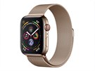 Apple Watch Series 4 s ocelovým pouzdrem