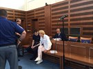 Dvacetilet Vitalijus ervonikovas z Litvy u Krajskho soudu v Hradci Krlov...