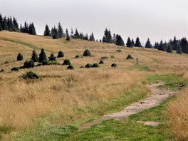 Vrcholové partie pohoří Gorce jsou částečně odlesněné.