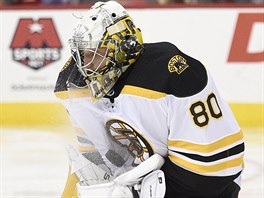 Bostonsk� brank�� Dan Vlada� kryje puk v z�pase s Washingtonem.