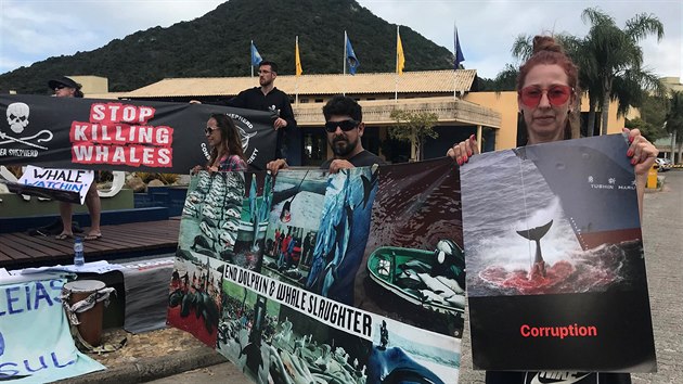 Aktivisté na ochranu zvířat protestují v průběhu konference Mezinárodní velrybářské komise v brazilském Florianópolisu. (10. září 2018)