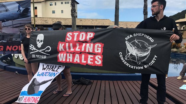 Aktivisté na ochranu zvířat protestují v průběhu konference Mezinárodní velrybářské komise v brazilském Florianópolisu. (10. září 2018)