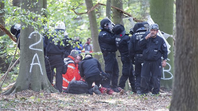 Zchrani oetuj mue, kter spadl ze stromovho domu v Hambaskm lese. (19. z 208)