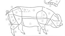 Slepá mapa rozdlení vepového masa