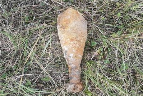 Jedna z dlosteleckých min, kterou vykopal bagrista v Abertamech na...