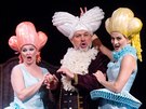 aldovo divadlo v Liberci uvede Rossiniho operu Popelka. Premiéra bude v pátek,...