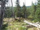 Geologov rozlutili pvod safr na Liberecku