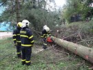 Po vichici zamstnaly hasie v Moravskoslezském kraji hlavn popadané stromy....