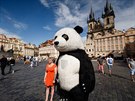 S obří pandou se můžete také vyfotit na Staroměstském náměstí. Lidé však mnohdy...