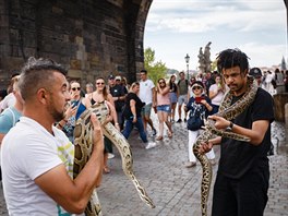 U Karlova mostu se zase mete vyfotit s hadem. Dokonce dvma. Jeden za dv...