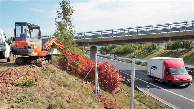 Ředitelství silnic a dálnic staví kolem dálnice D6 ploty, které mají zamezit střetům se zvěří.