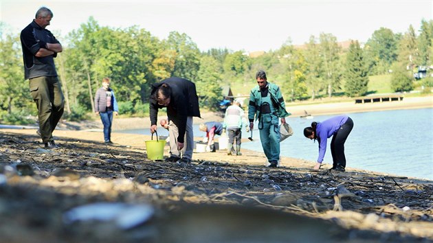 Dobrovolníci zachraňují před smrtí statisíce škeblí rybničních na březích vypuštěného rybníku Mrhal u Českých Budějovic. Foto: Petr Lundák, MAFRA