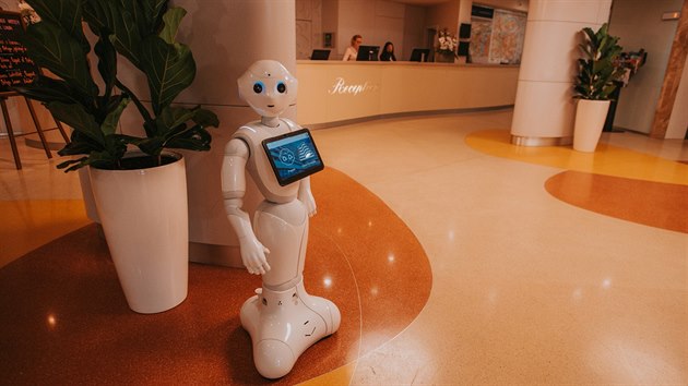 Nenavn recepn Pepper. Prask Pyramida je prvnm eskm hotelem, kde se objevil robot.