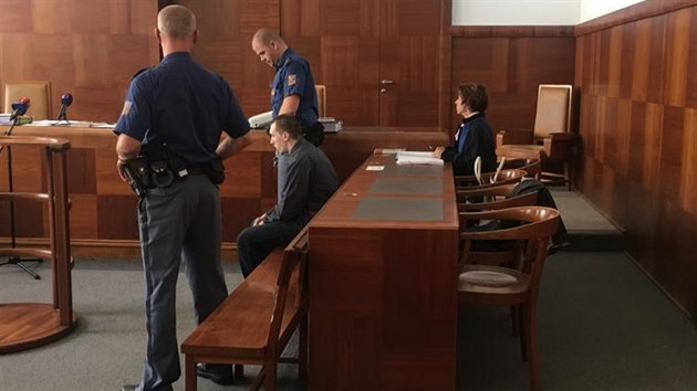 Odvolac sent Vrchnho soudu v Praze potvrdil trest pro tiadvacetiletho Jaroslava Pulpna, plat tak rozhodnut krajskho soudu, e ve vznici s ostrahou strv est a pl roku. (27. z 2018)