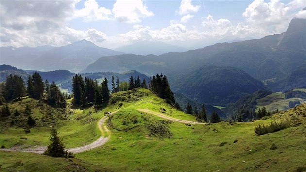 Nekonen cesty pastvinami v Tyrolskch Alpch