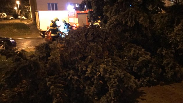 Silný vítr v noci zasáhl Prahu, hasiči vyjeli k padesáti případům. (21. 9. 2018)