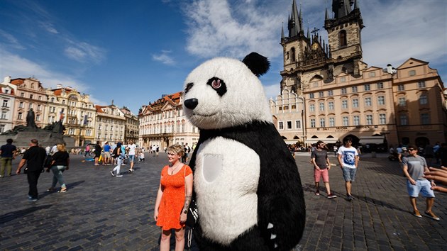S obří pandou se můžete také vyfotit na Staroměstském náměstí. Lidé však mnohdy nevědí, že plyšová atrakce není pod taktovkou městské části, ale soukromníka. Zájemci si proto musí za fotku s pandou či ledním medvědem zaplatit.