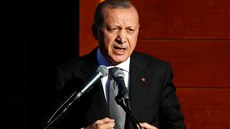 Turecký prezident Recep Tayyip Erdogan (29. záí 2018)