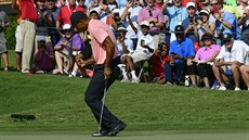 Tiger Woods jásá po eaglu na osmnácté jamce v prvním kole turnaje Tour...