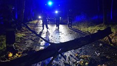 Kvli vichici vyjídli hasii v Karlovarském kraji hlavn k popadaným...