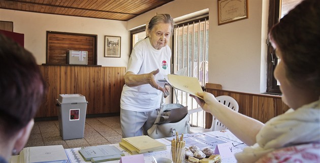 Panašování. Slovo, které zná málokdo, a přitom ho v sobotu použijí tisíce voličů